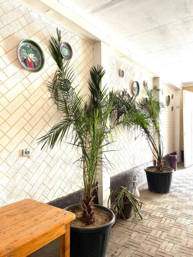 Others 3, Assalom Hostel, Samarkand