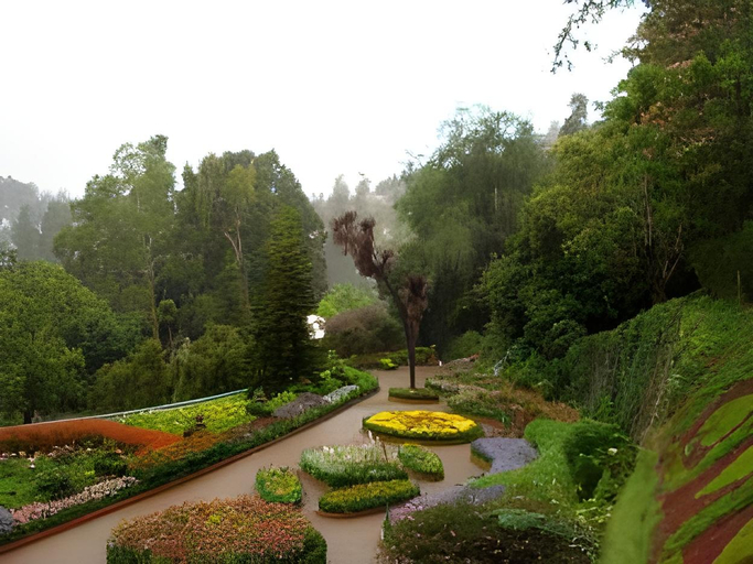 Others 5, Pebrock Heritage Inn, The Nilgiris