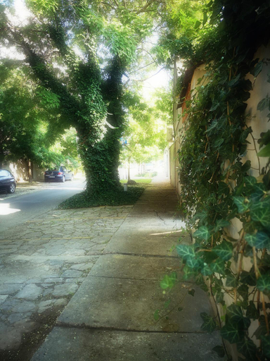 Others 5, Centar, Subotica