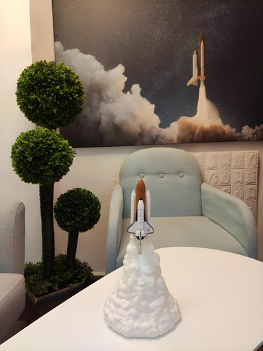 Others 5, capsule space x