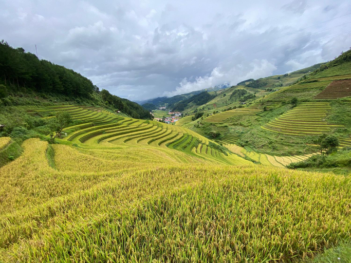 Others 3, Mu Cang Chai Homestay & Trekking, Mù Căng Trai