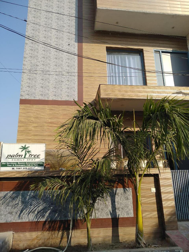 Others 2, The Palm Tree -Family Stay, Amritsar