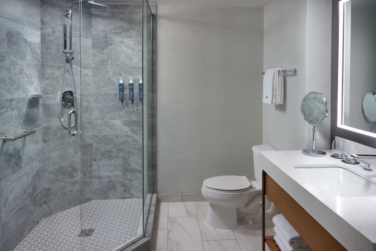 Bathroom 5, The Westin Huntsville, Madison