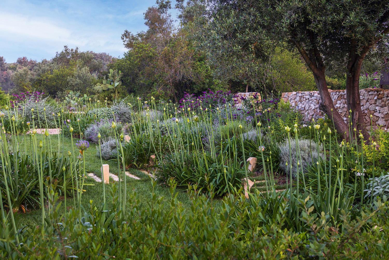Others 5, La Vacia Country Resort, Taranto
