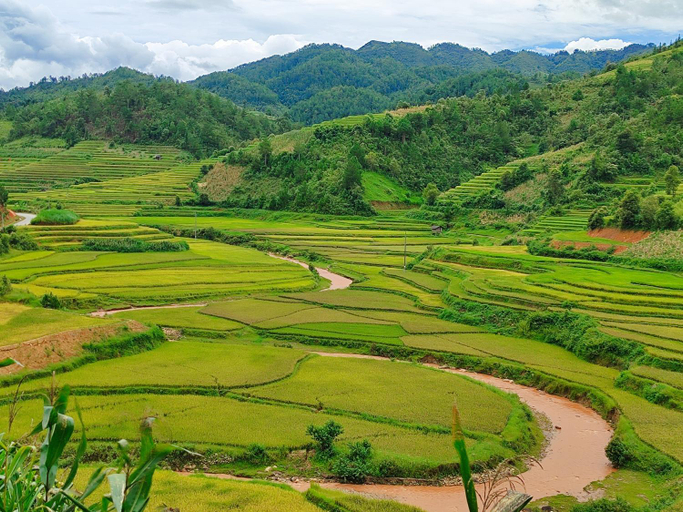 Others 2, Mu Cang Chai Homestay & Trekking, Mù Căng Trai