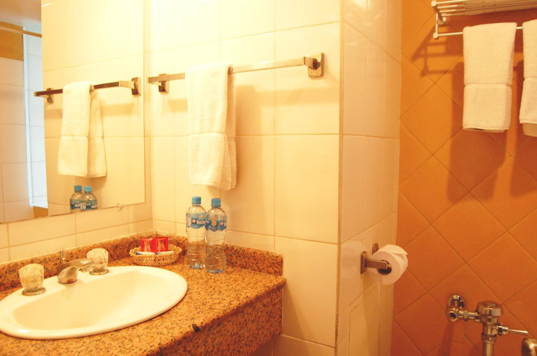 Bathroom 3, Hotel Gloria La Paz, Pedro Domingo Murillo