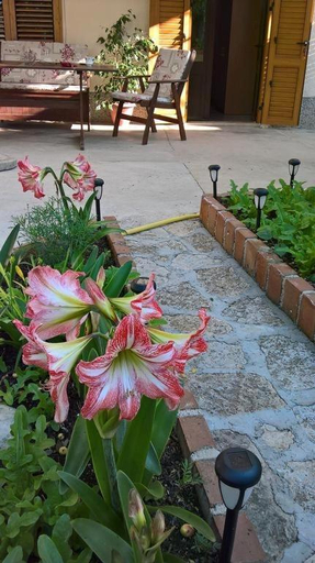 Others 4, Room in Nerezine with balcony, Wifi 4827-5, Mali Lošinj