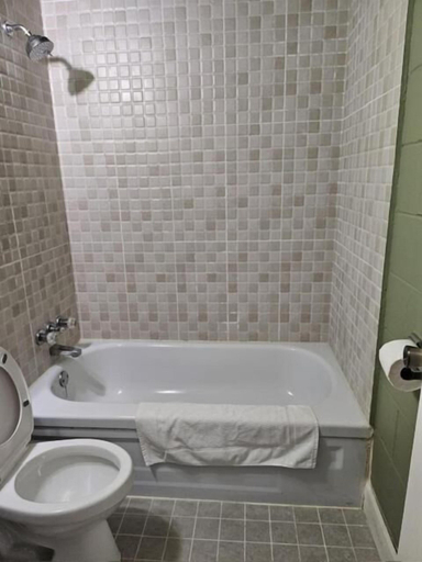 Bathroom, PALMERSTON LAKE MOTEL, Frontenac