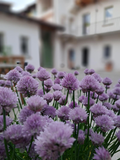 Others 5, B&B Il Cortile, Novara