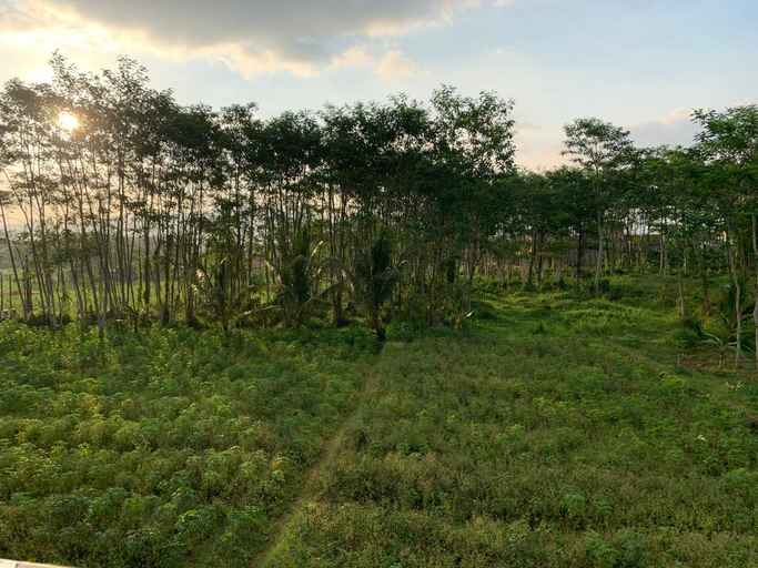 Other View & Surrounding, Homestay Griya Asri Syariah, Magelang