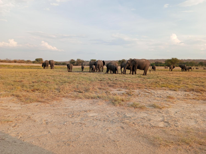 Others 5, OnGo Blair Travels, Ngaka Modiri Molema