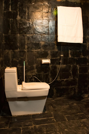 Bathroom 5, sainj riverside cottages, Kullu