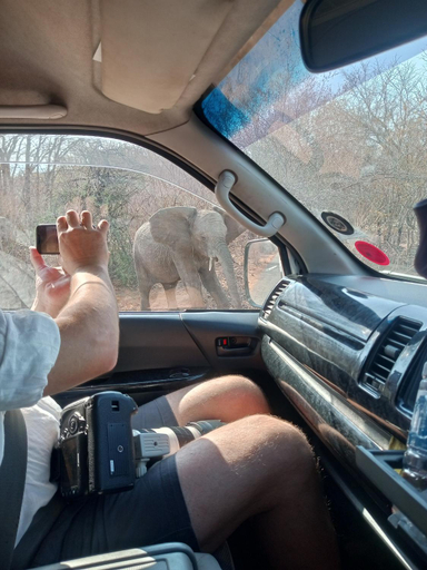 Others 2, OnGo Blair Travels, Ngaka Modiri Molema
