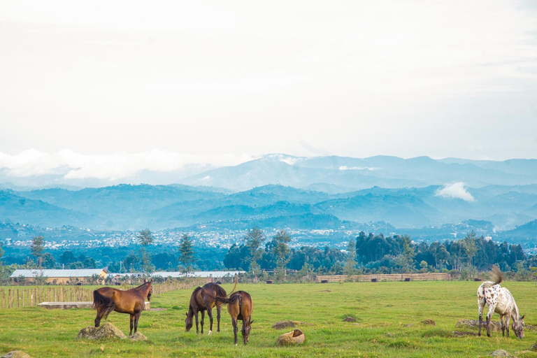 Others 5, Farmhouse Rwanda, Musanze