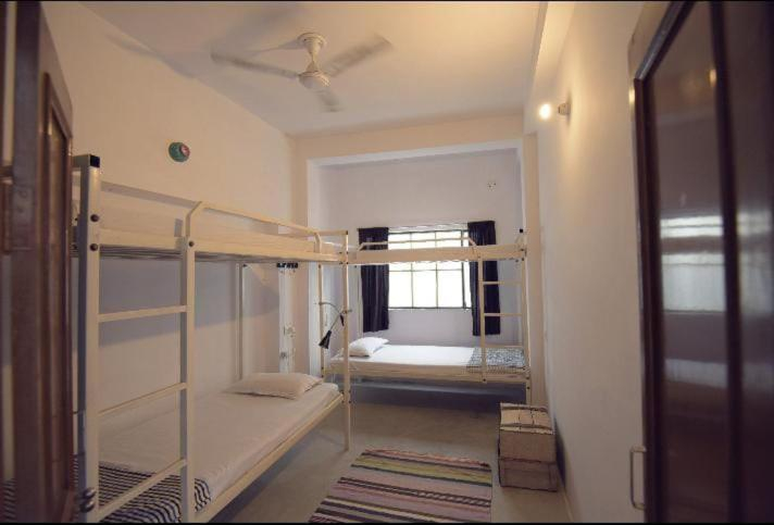 Others 5, Chalo Eco Hostel, Jaipur