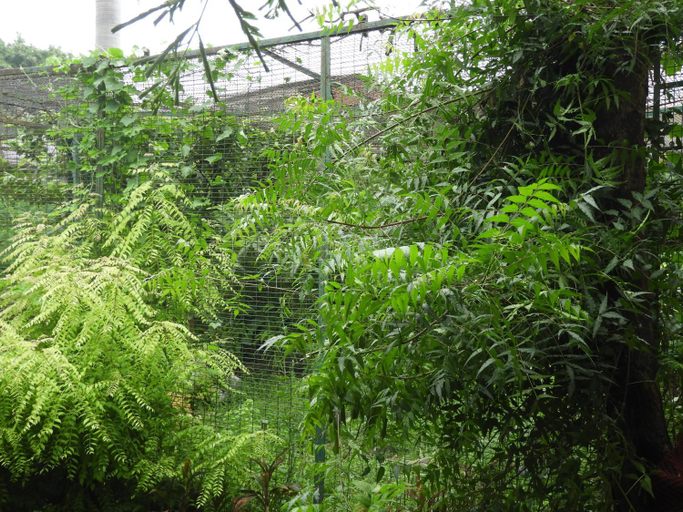 Others 4, Samar Homestay, Faizabad