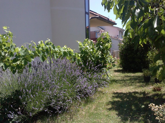 Others 3, Casa Roberta, Arezzo