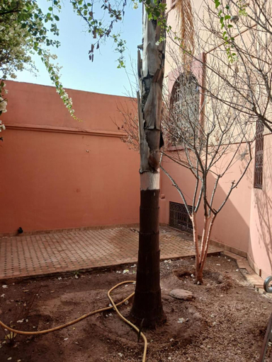 Others 3, Villa Mima, Marrakech