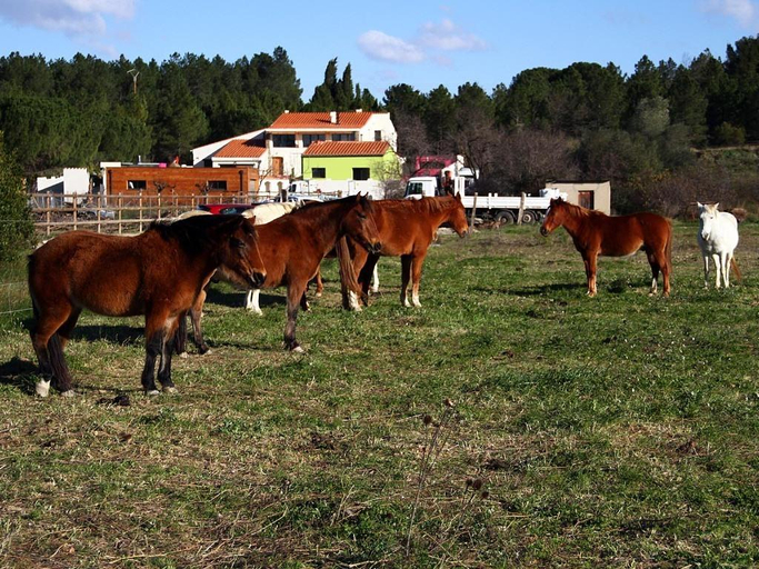 Others 5, Asinerie Kuleni, Pyrénées-Orientales
