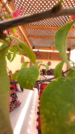 Others 3, RIAD TAZZORI, Marrakech