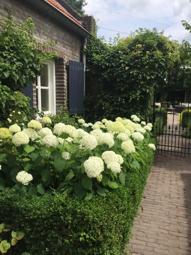 Others 3, Cassehof, Nederweert