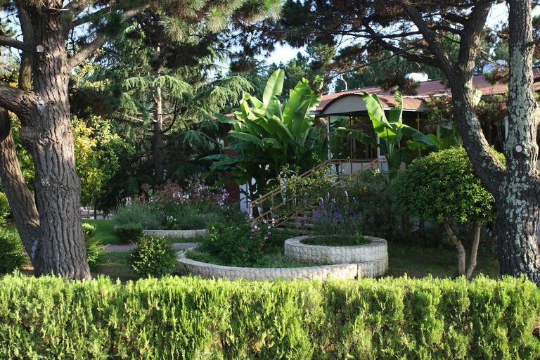 Others 3, Izumrud Health Resort, Sochi gorsovet