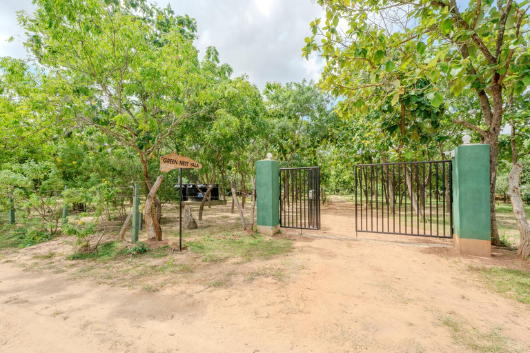 Others 4, Green Nest Yala, Thissamaharama