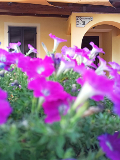 Others 3, L'Agramante Bed&Breakfast, Perugia