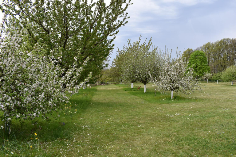 Others 5, Le Verger du Patagon, Brabant Wallon