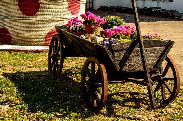 Others 4, Afonya Hotel, Arzamasskiy rayon