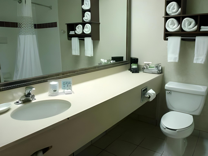 Bathroom 4, Hampton Inn Kansas City/Blue Spring, Kansas City