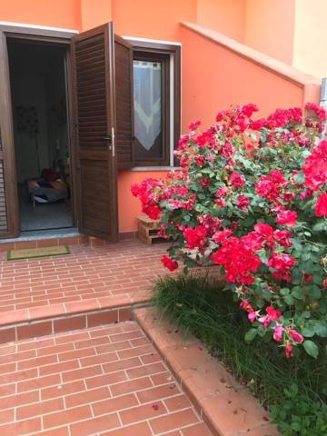 Others 5, Il roseto, Cagliari