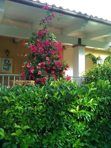Others 5, B&B La Dimora Di Alfonso, Potenza