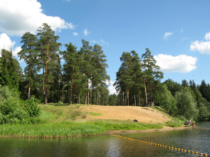 Others 5, Sosnoviy Bor eco health resort, Kostromskoy rayon