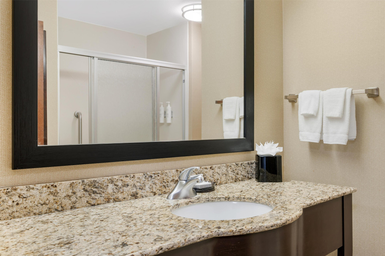 Bathroom 4, Hampton Inn & Suites Crawfordsville, Montgomery