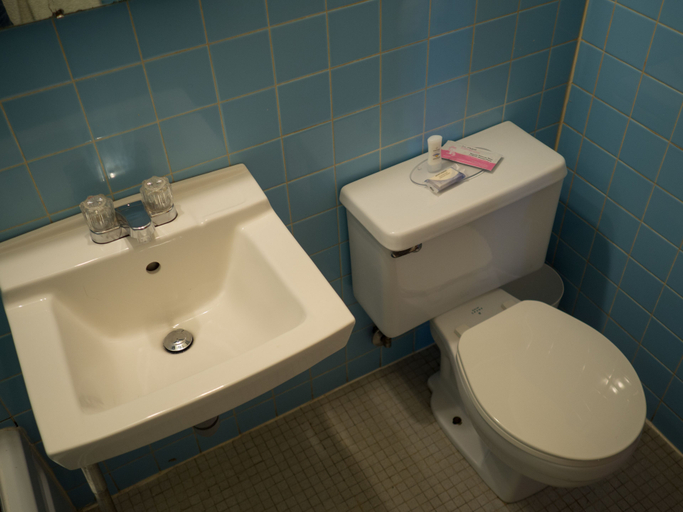 Bathroom 3, The New Cavalier Inn, Division No. 11