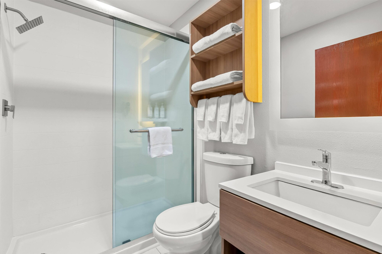 Bathroom 4, Microtel Inn & Suites by Wyndham Salisbury, Wicomico