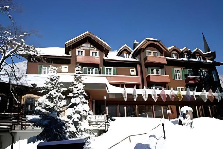 Others 4, Hotel Jungfrau Murren, Interlaken