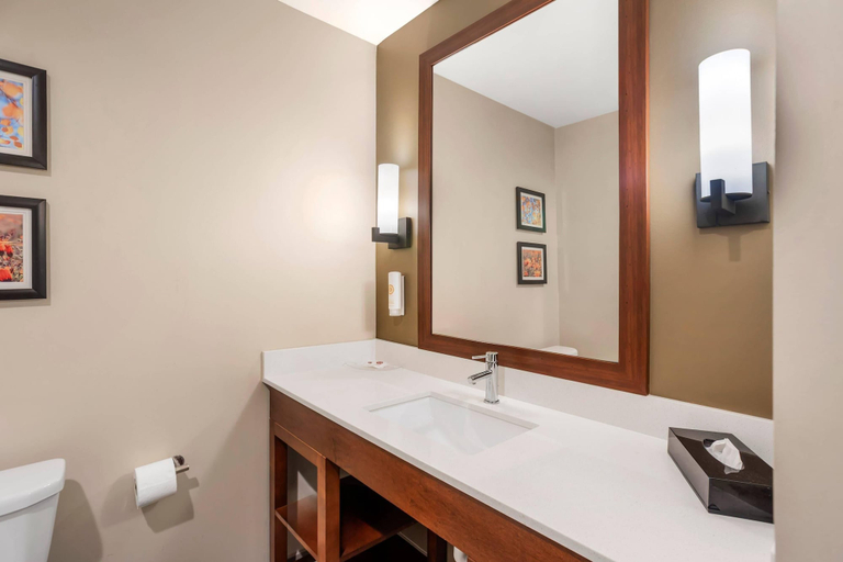 Bathroom 4, Comfort Inn & Suites Gap Amish Country, Lancaster