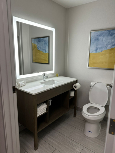 Bathroom 4, Comfort Inn & Suites Harvey - Chicago Southland, Cook