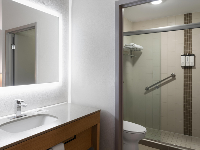 Bathroom 4, Hyatt Place Charlotte/Arrowood, Mecklenburg