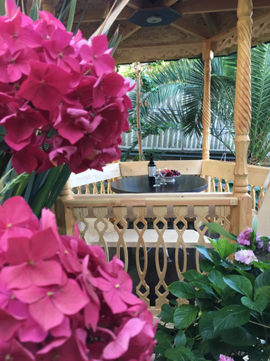Others 5, Guest House "EDEM", Sochi gorsovet