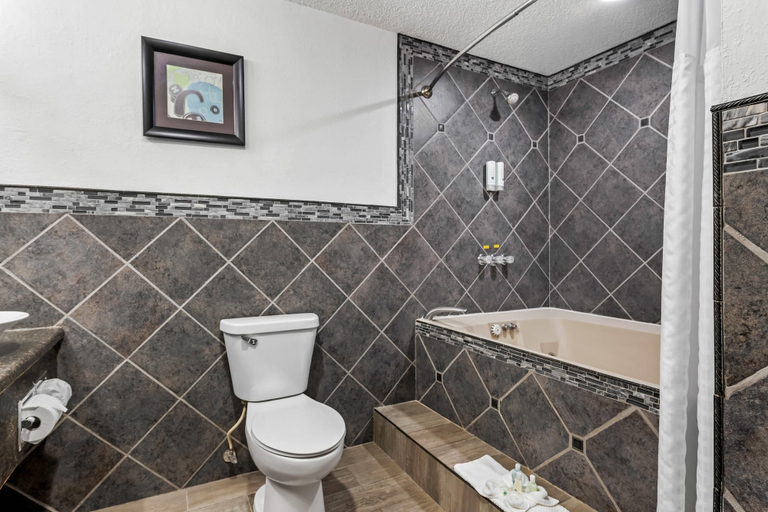 Bathroom 4, Quality Inn Savage, Scott