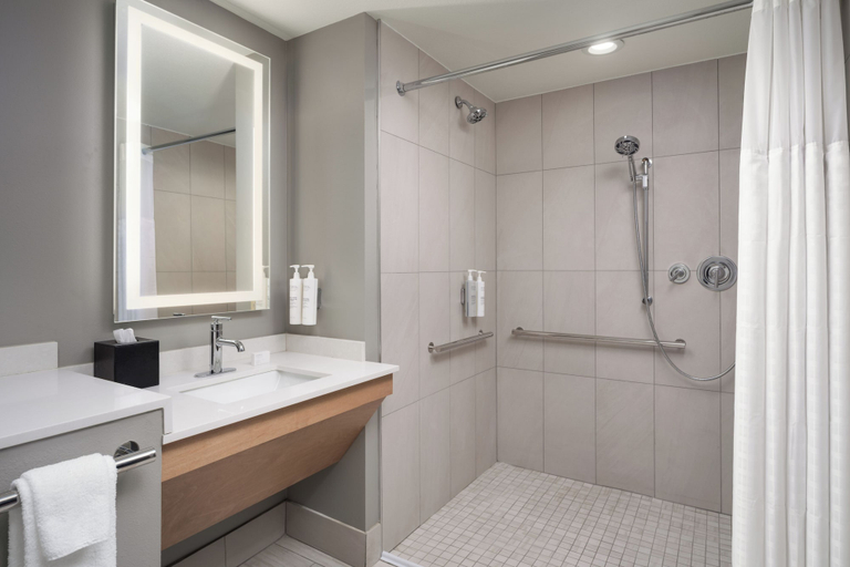 Bathroom 5, Embassy suites hot springs convention center, Garland
