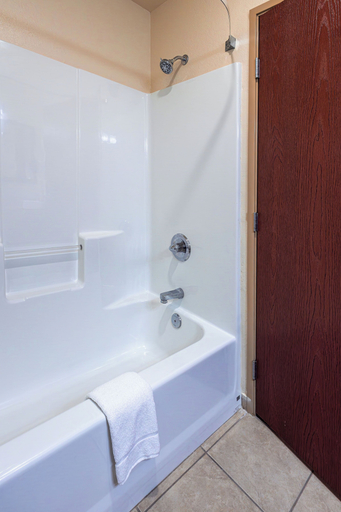 Bathroom 3, Cobblestone Inn & Suites – Big Lake, Reagan