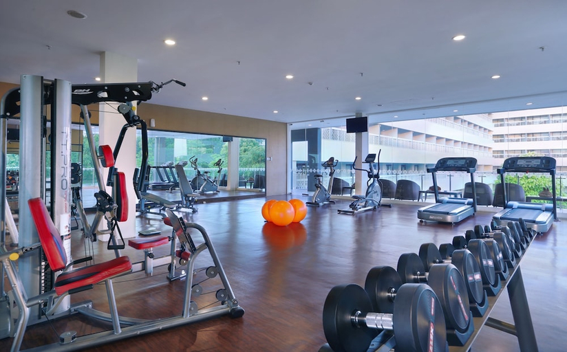gym 11