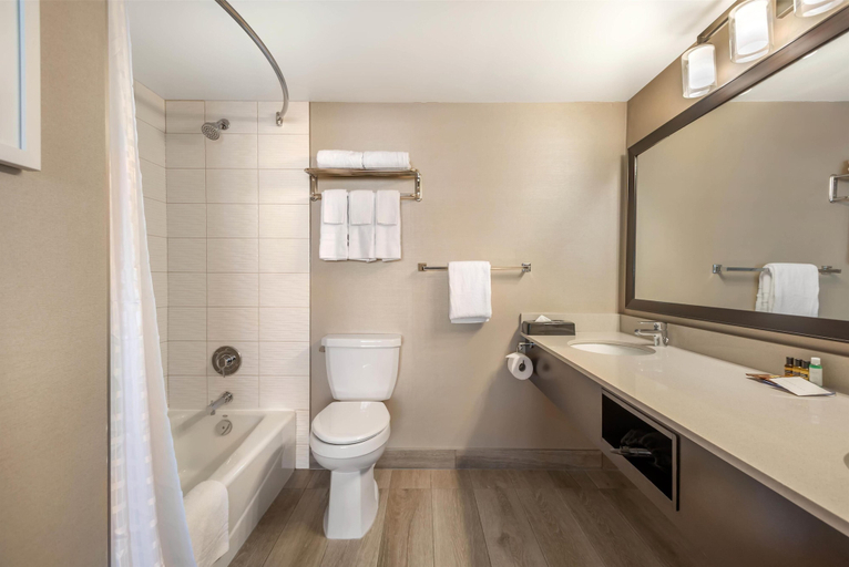 Bathroom 4, Best Western Plus Calgary Centre Inn, Division No. 6