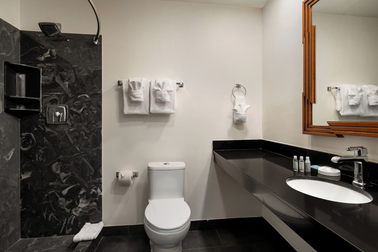Bathroom 4, Le Richelieu Hotel, Orleans