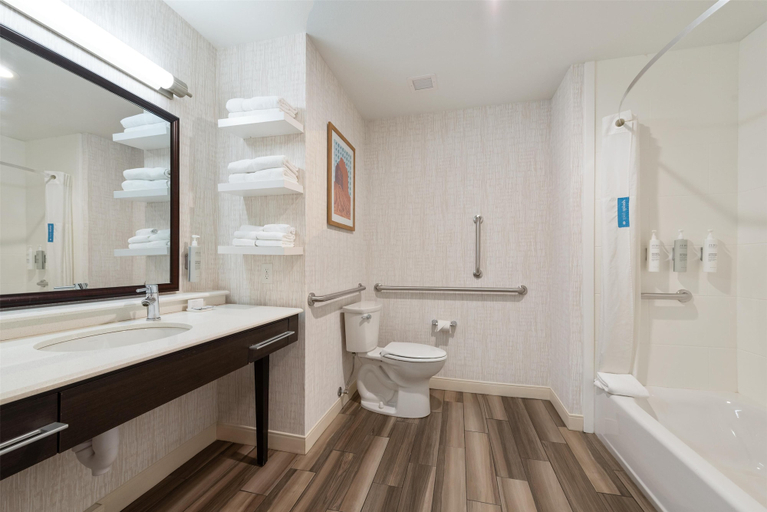 Bathroom 3, Hampton Inn Mesa Verde/Cortez, Montezuma