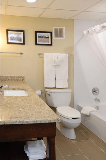 Bathroom 3, Comfort Inn & Suites Event Center, Polk